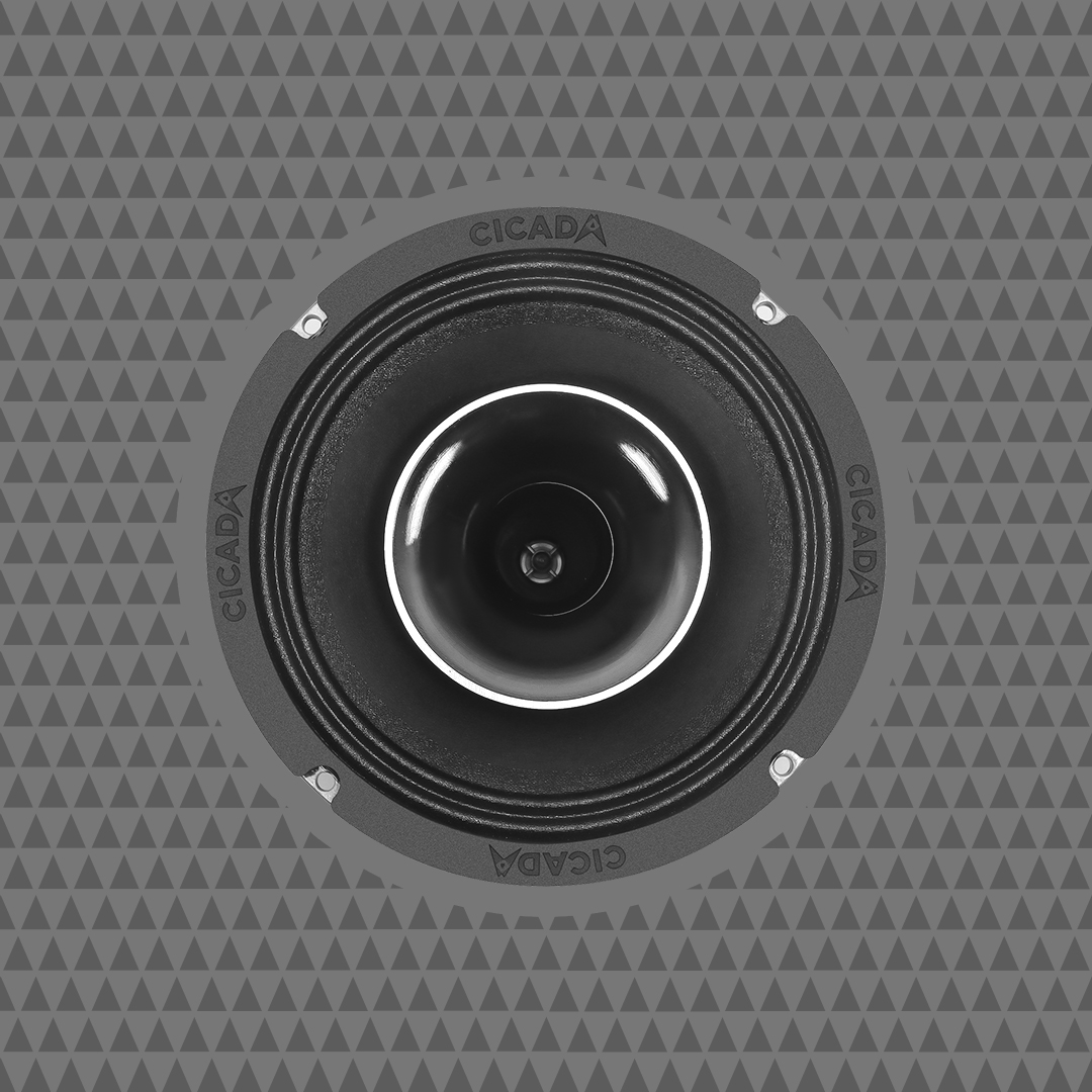 CH65.2 6.5 speaker